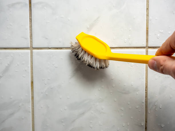 Best Professional Mold Removal  in Bennett, CO