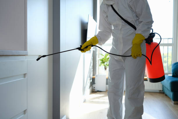 Best Mold Testing  in Bennett, CO