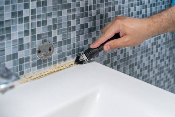 Best Fast Mold Removal  in Bennett, CO